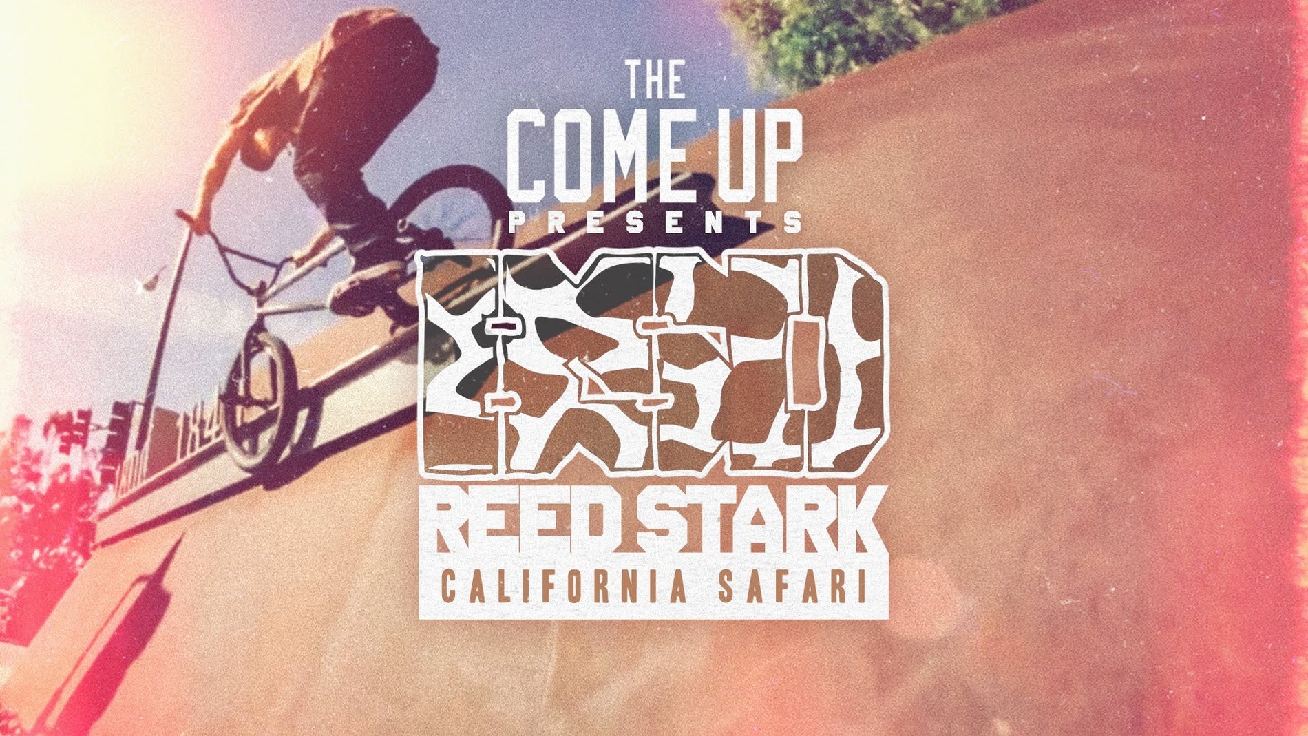 Reed Stark - California Safari