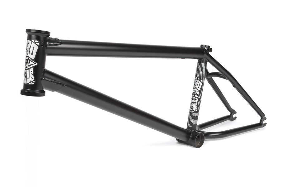 FOCUS FRAME